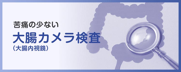 苦痛の少ない大腸カメラ（大腸内視鏡）