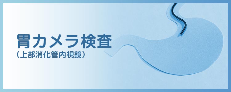 胃カメラ検査（上部消化管内視鏡）